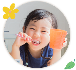 プレオルソのお手入れ方法