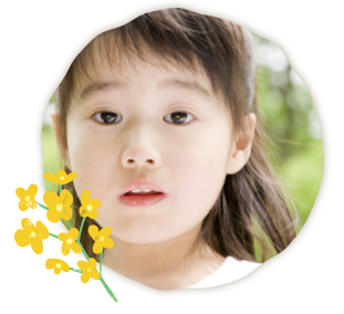 プレオルソのお手入れ方法